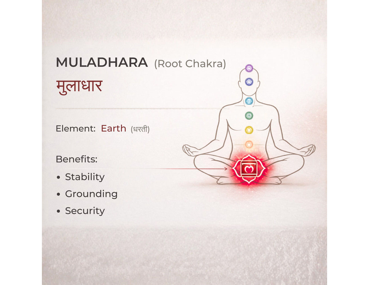 Essent Muladhara Root Chakra Spiritual 50 ml eau de parfum bottle — fresh citrus, view 3